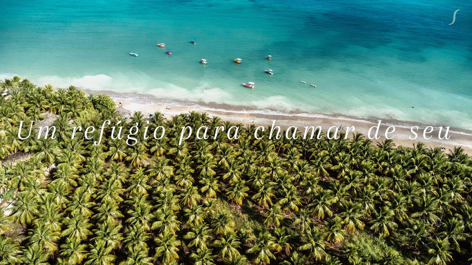 Vista aérea da Praia do Toque, com coqueiral, faixa de areia e o mar de São Miguel dos Milagres.